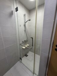 The Lakefront Residences (D22), Condominium #502910661